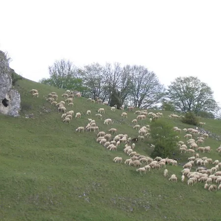 Sontheimer Wirtshäusle Hotel 3*