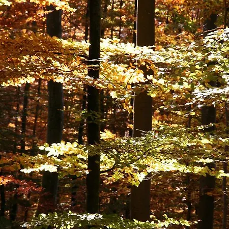 Hotel Sontheimer Wirtshäusle 3*