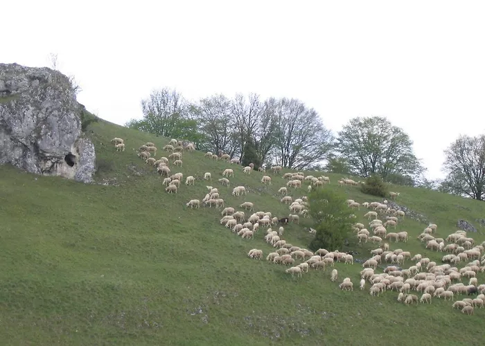 Sontheimer Wirtshaeusle Hotel 3*