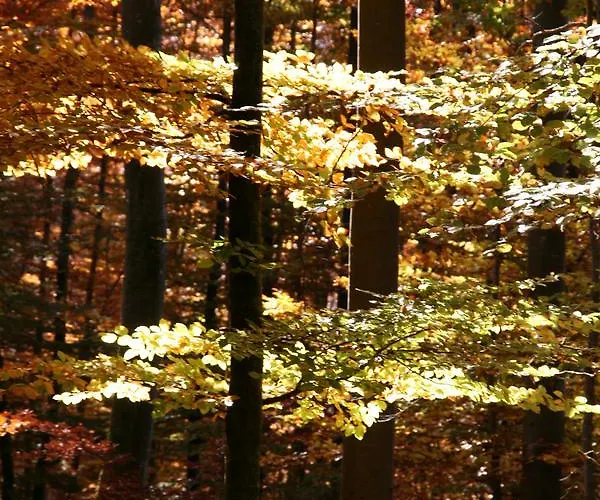 Hotel Sontheimer Wirtshaeusle 3*