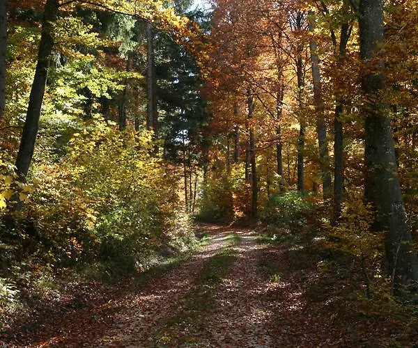 Hotel Sontheimer Wirtshaeusle 3*